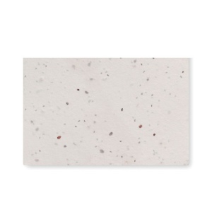 Carte de visite pour les graine - ASIDA