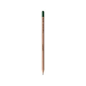 Sproutworld Sharpened Pencil & Header Card crayon taillé
