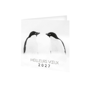 CARTE DE VOEUX FROID 2027 - MARQUAGE QUADRI