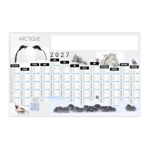 ARCTIQUE 2027 - MAXI 650 X 405 MM - LEGER - DOS FRANCE REGIONS - 1 TROU EN TETE - MARQUAGE QUADRI R/V DIFFÉRENTS