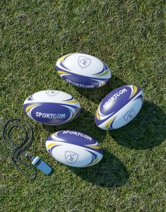 Mini Rugby BUSINESS