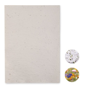 ASIDI - Papier A4 graines de fleurs