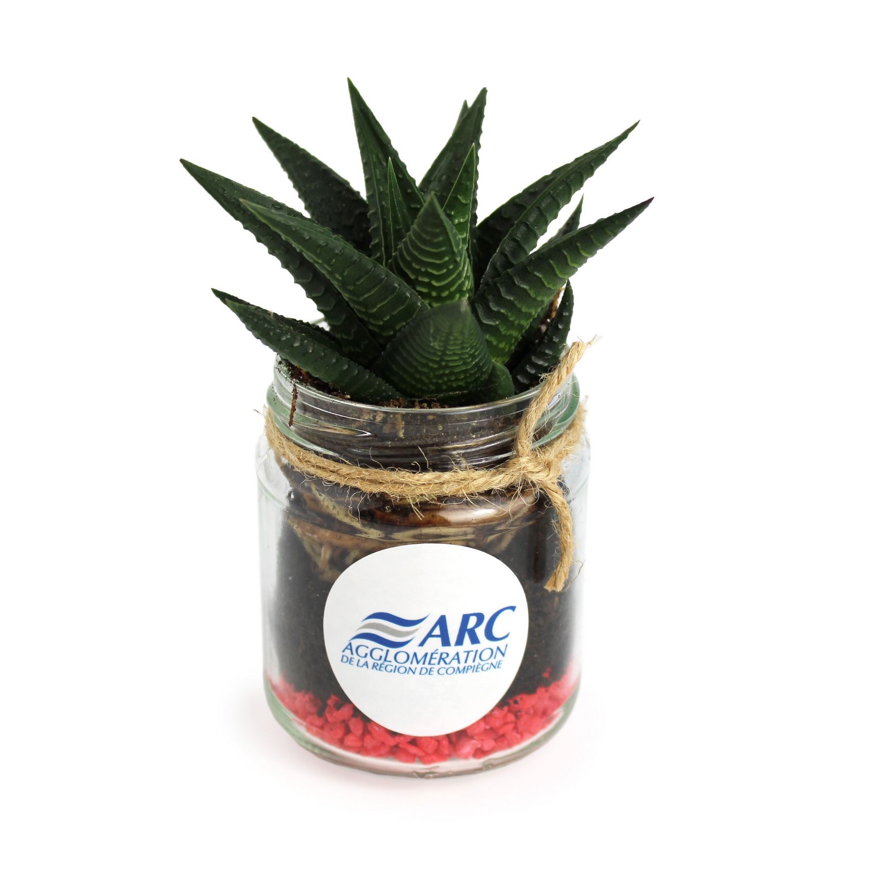 Plante bocal