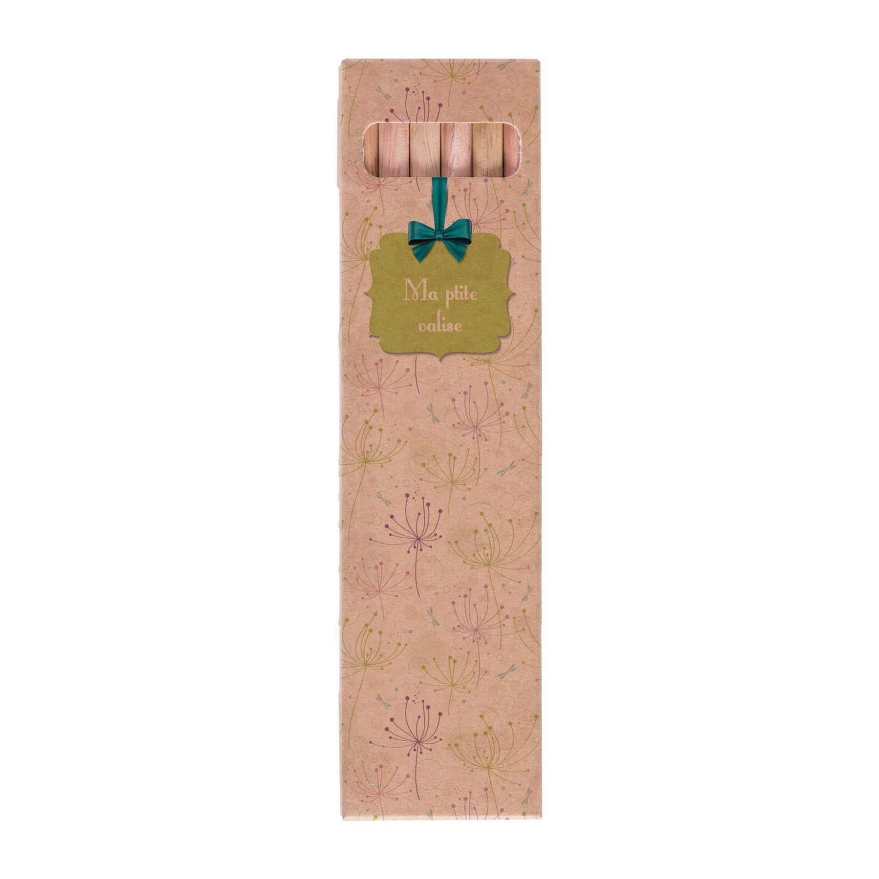Etui 6 Cr Coul Eco 17,6