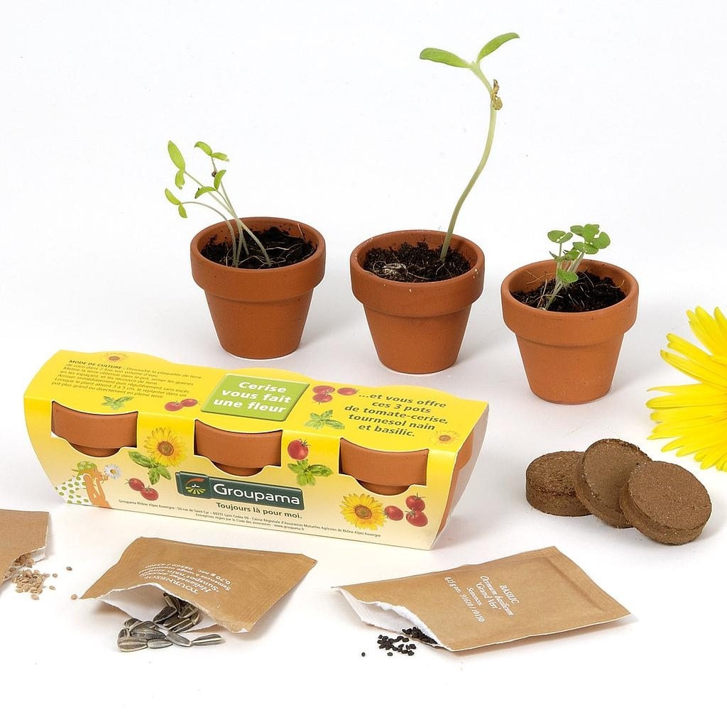 KIT DE PLANTATION TRIO DE POTS TERRE CUITE