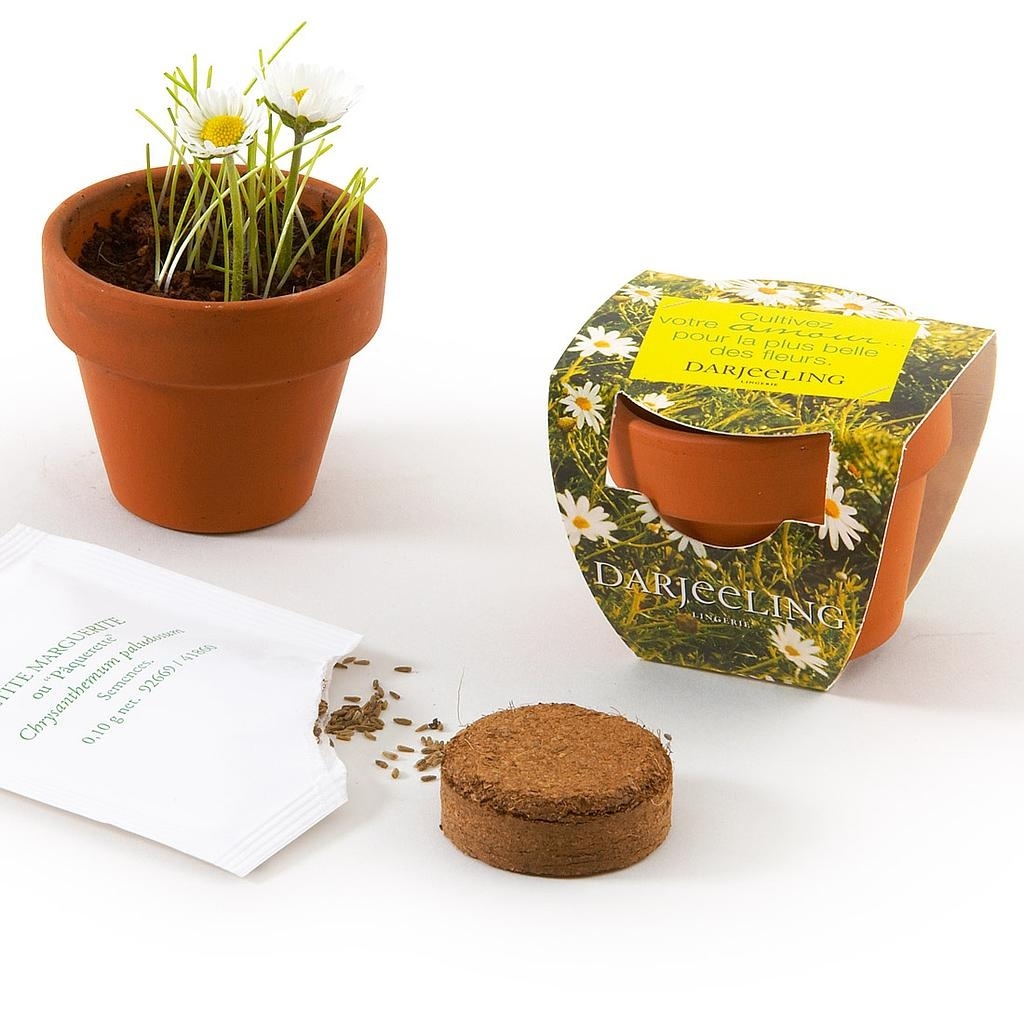 MINI KIT DE PLANTATION TERRE CUITE 45 MM