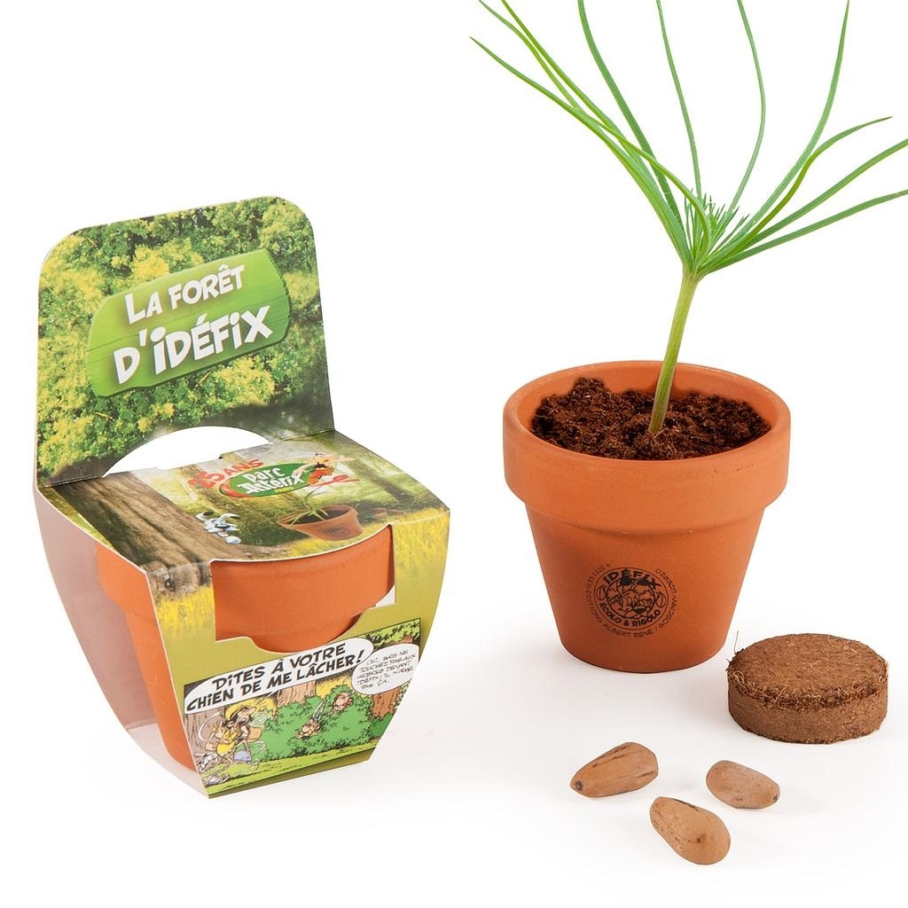 KIT DE CULTURE AVEC FRONTON POT TERRE CUITE