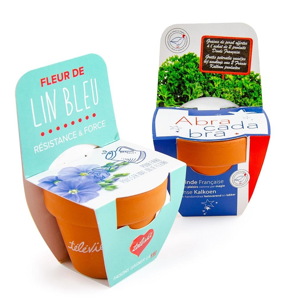 KIT TERRE CUITE 70 MM AVEC GRAINES