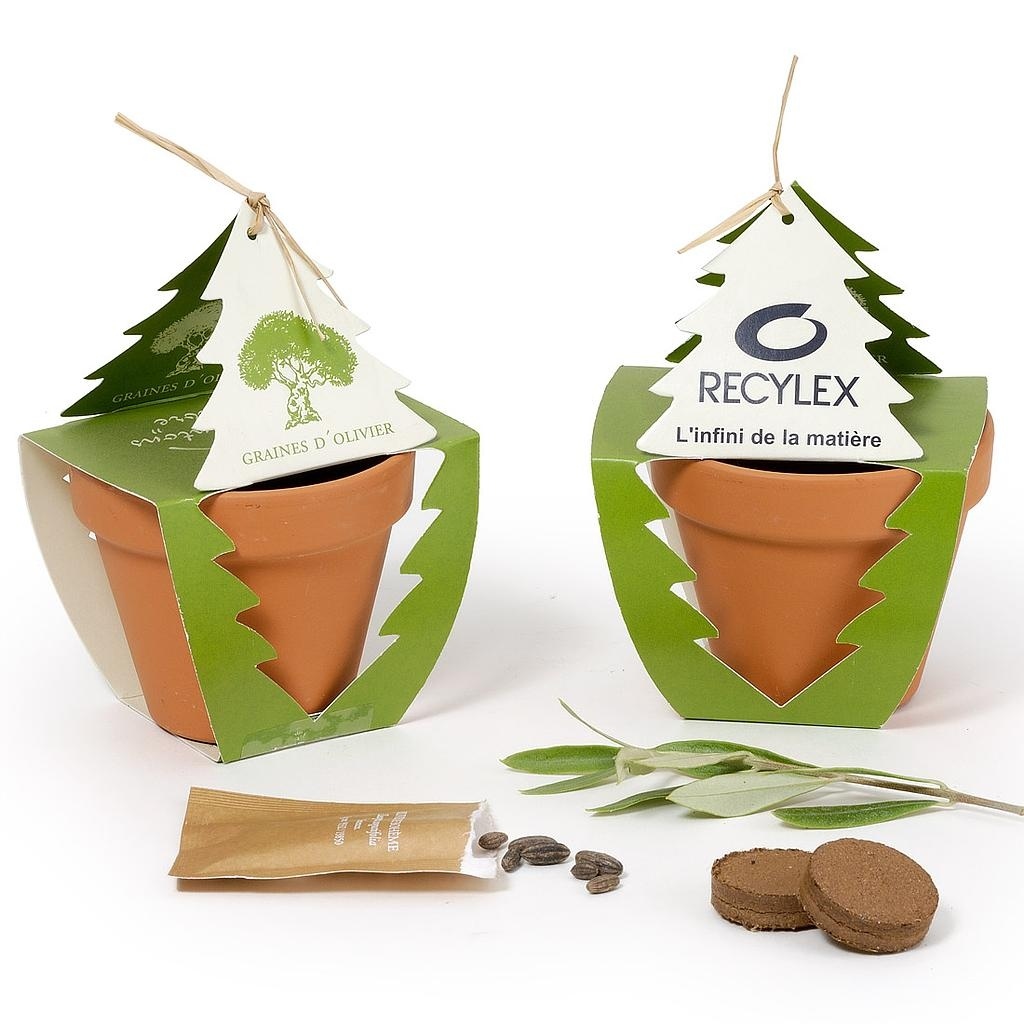 KIT DE PLANTATION REPLANTONS UN ARBRE 80 MM