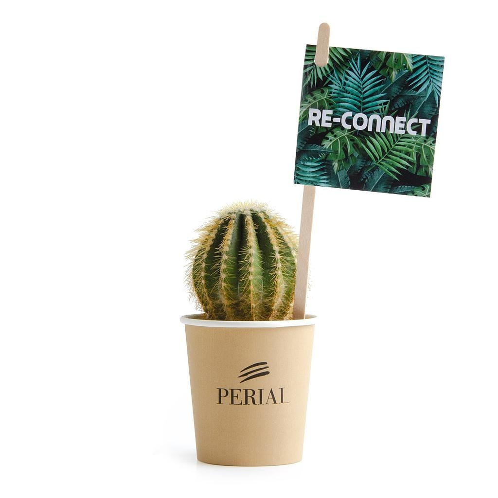 Cactus en pot gobelet carton - Cactus