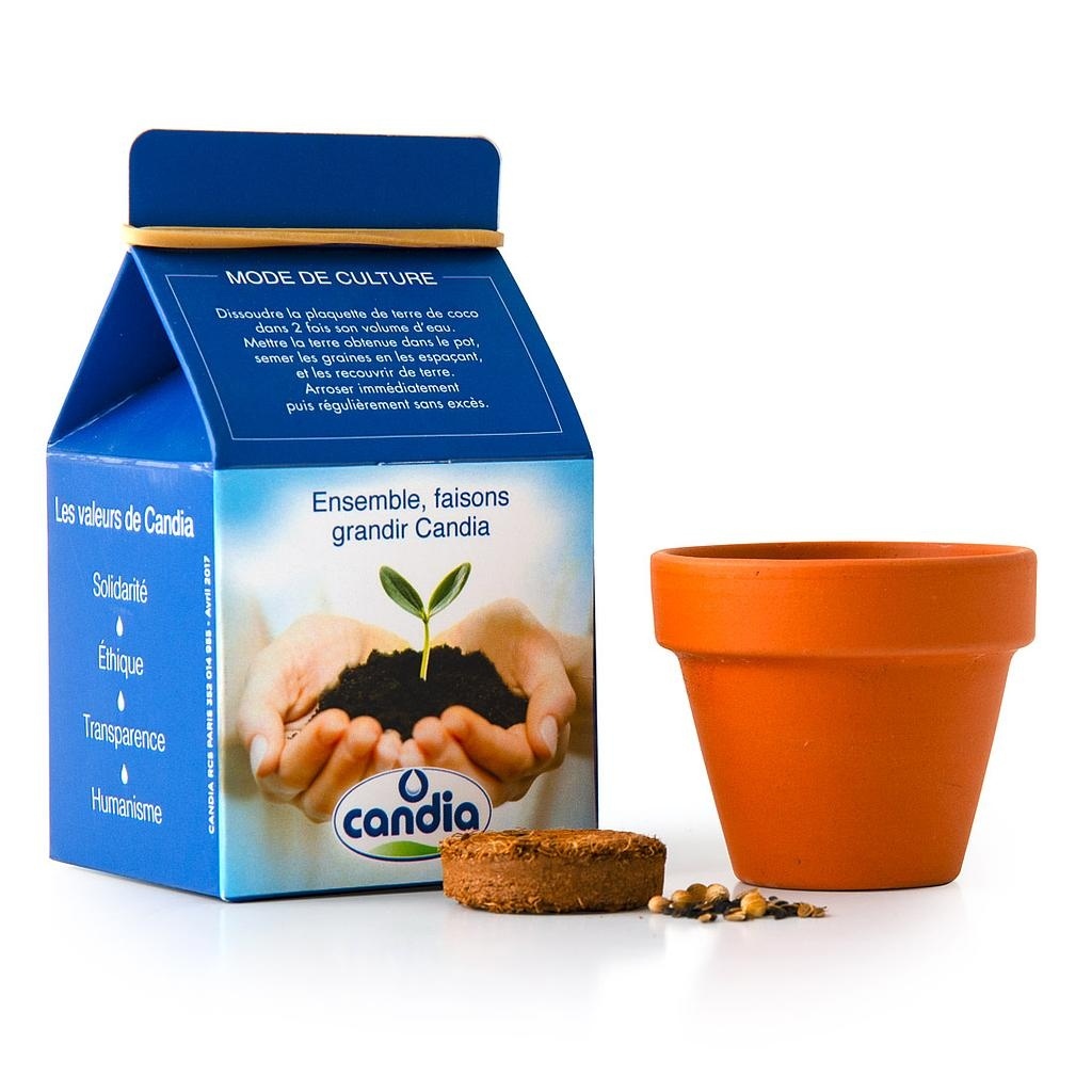 MINI KIT BOITE DE LAIT AVEC GRAINES