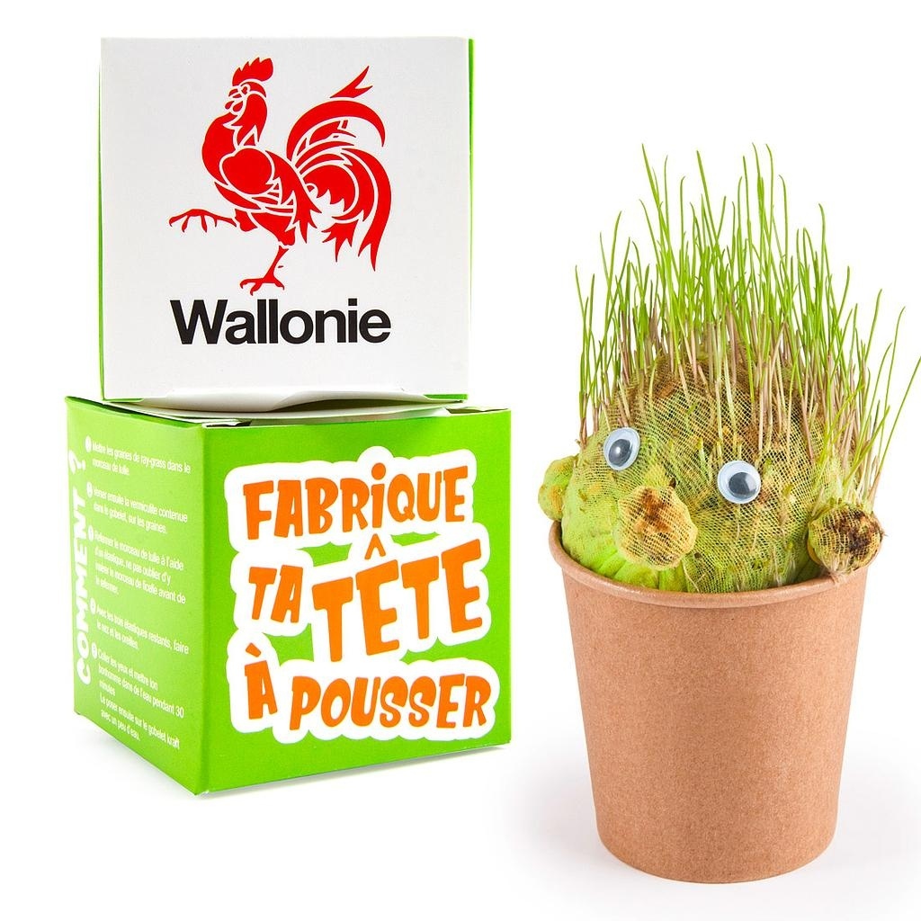 KIT DIY TETE A FAIRE POUSSER