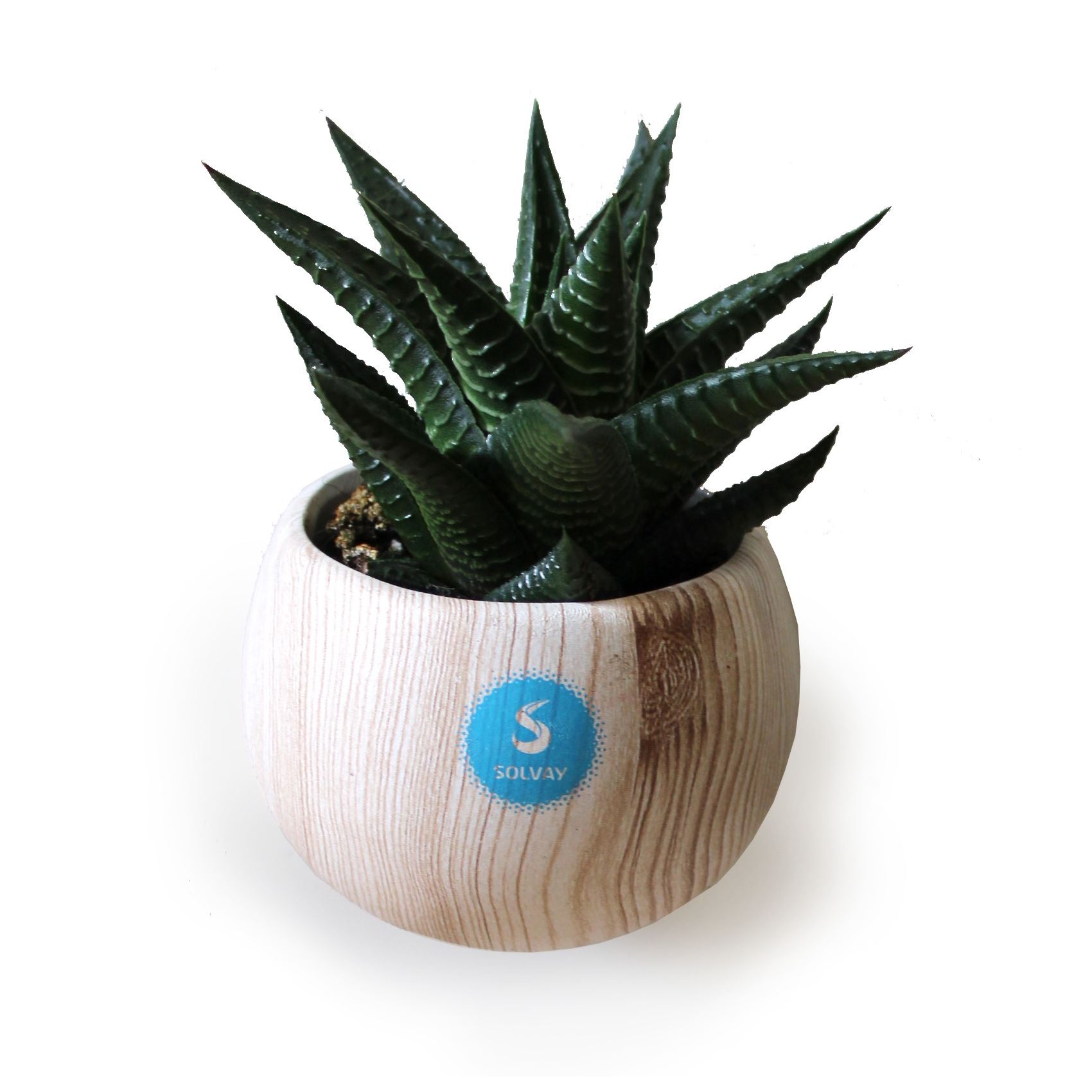 Plante pot céramique aimanté effet bois