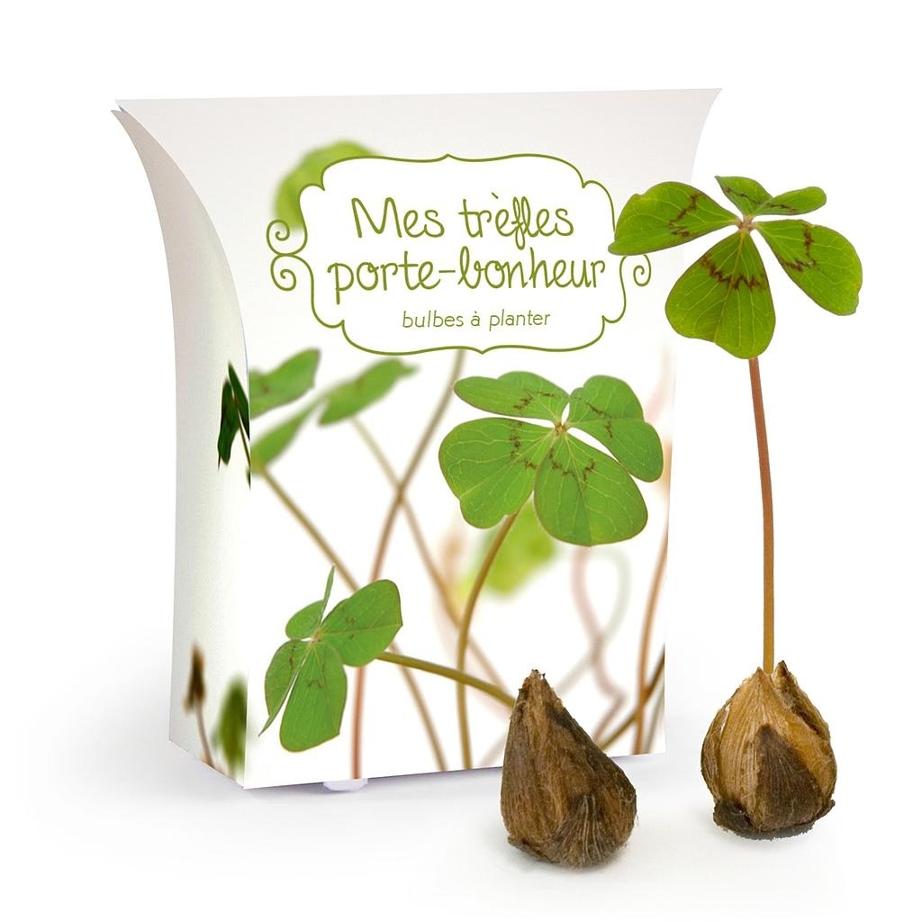 BOÎTE GOOD LUCK AVEC BULBES TRÈFLES 4 FEUILLES