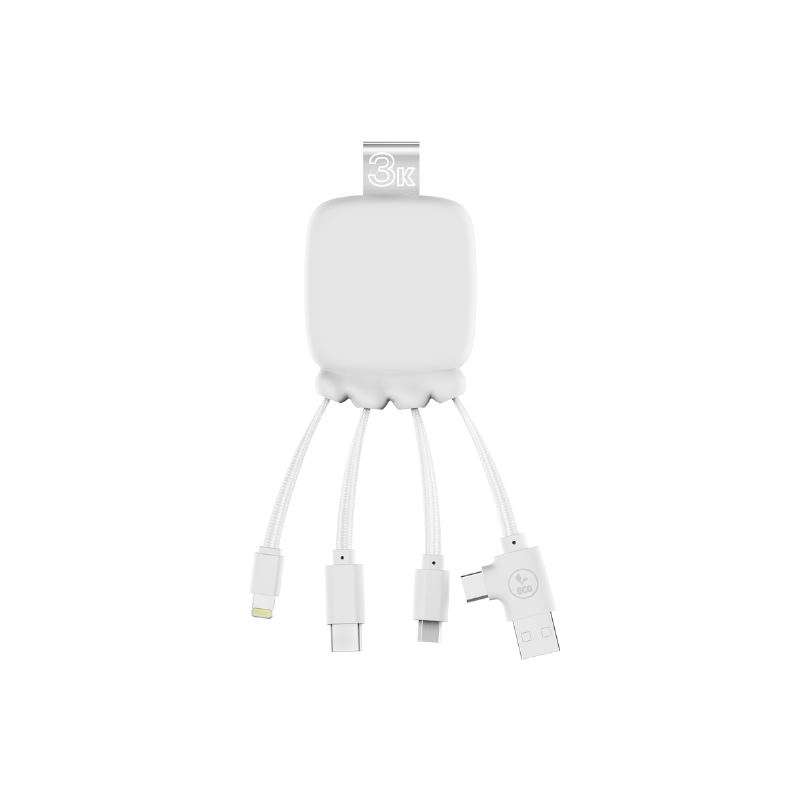 Gamma - Câble de charge et power bank 3000 mAh