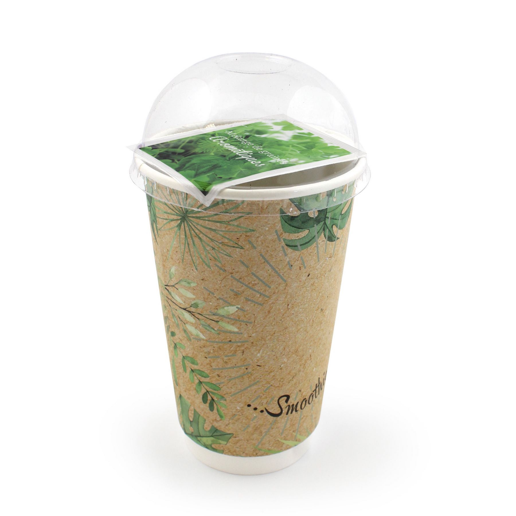 Smoothie graines standard