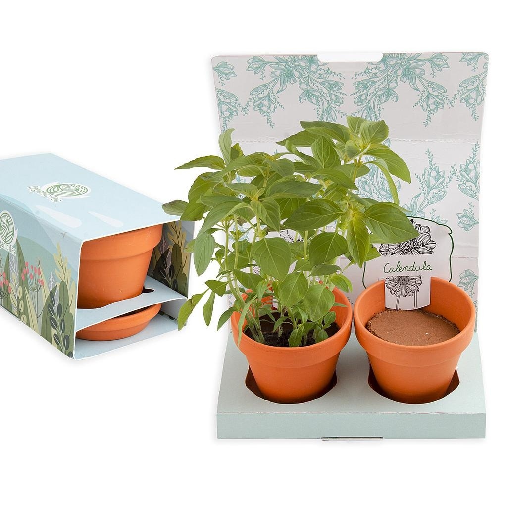 COFFRET 2 POTS TERRE CUITE ET GRAINES