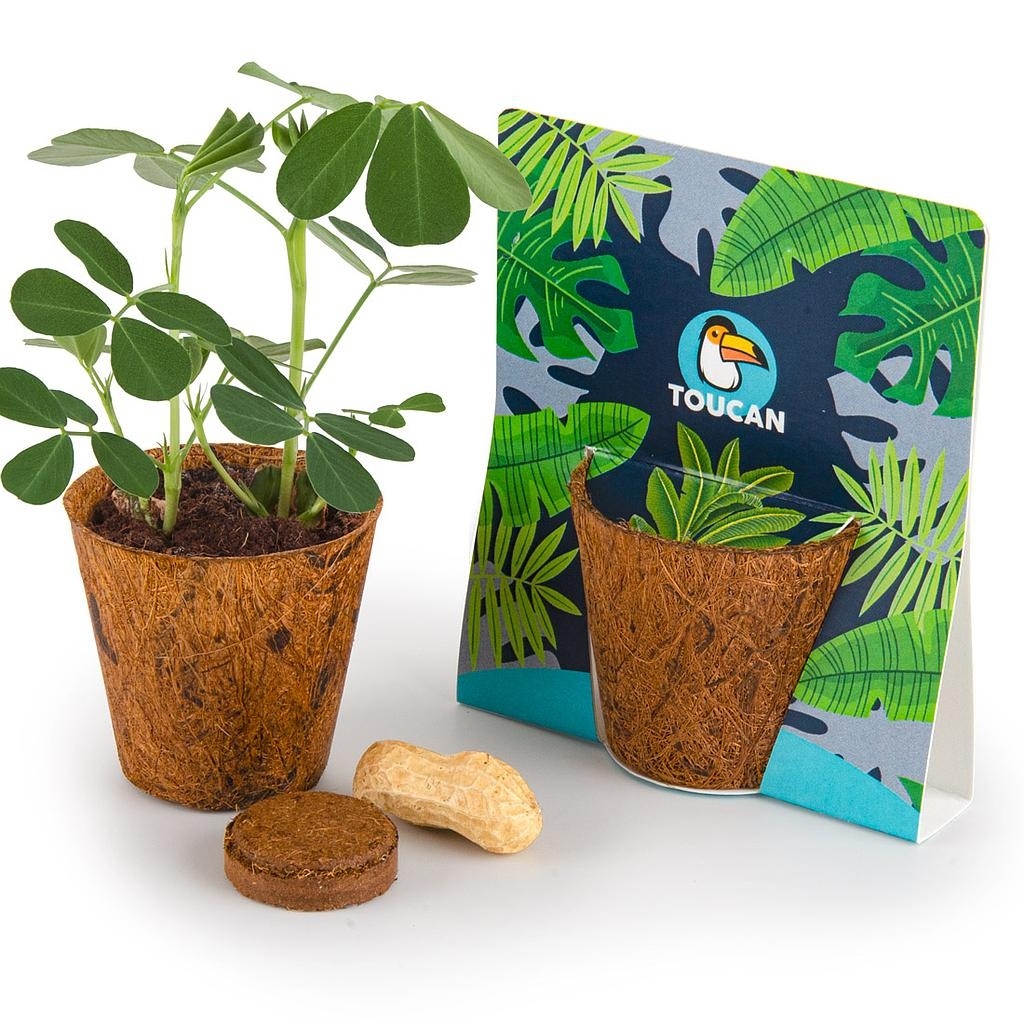 KIT DE PLANTATION EN FIBRE DE COCO BIODÉGRADABLE