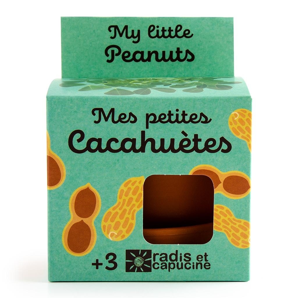 Kit terre cuite - cacahuète
