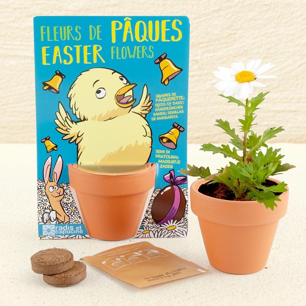 Carte nature oeuf de pâques- pâquerette
