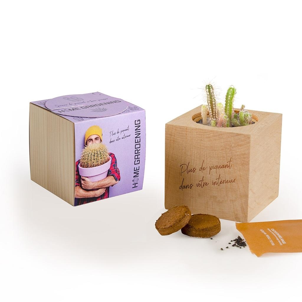 CUBE BOIS AVEC GRAINES À SEMER
