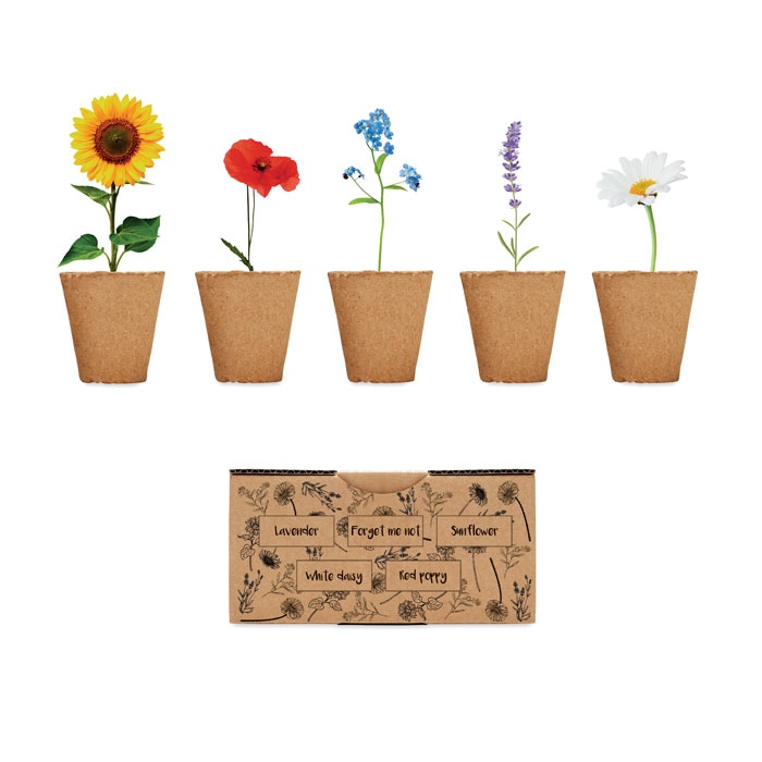 FLOWERS - Kit de culture de fleurs
