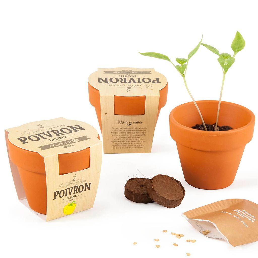 Kit De Plantation Publicitaire Pots Terre Cuite Avec Graines à Semer, Kit  personnalisé