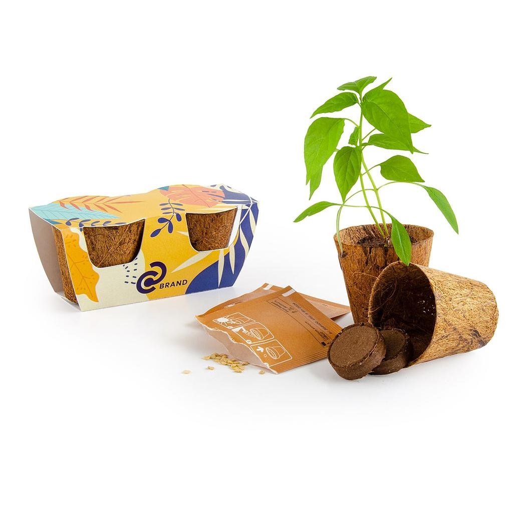 DUO DE POT COCO BIODÉGRADABLE