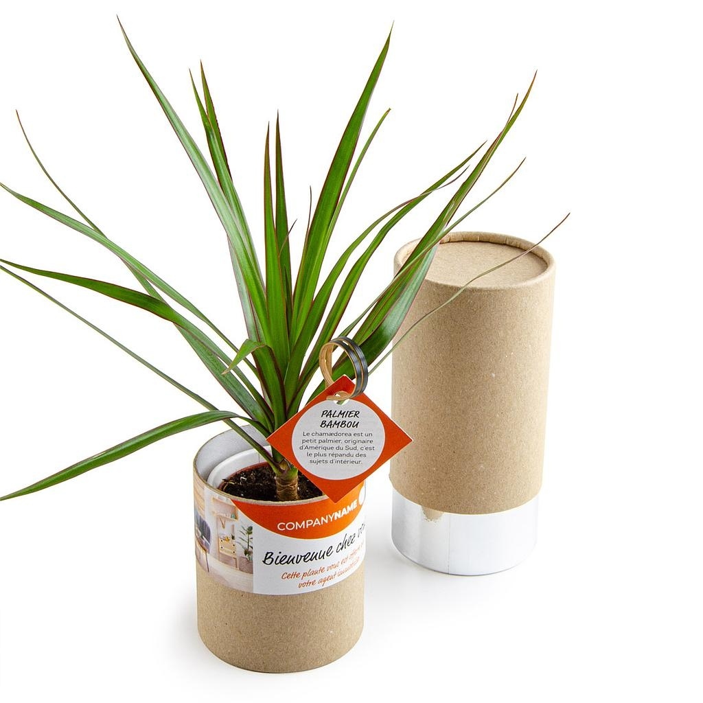 Tube & plante