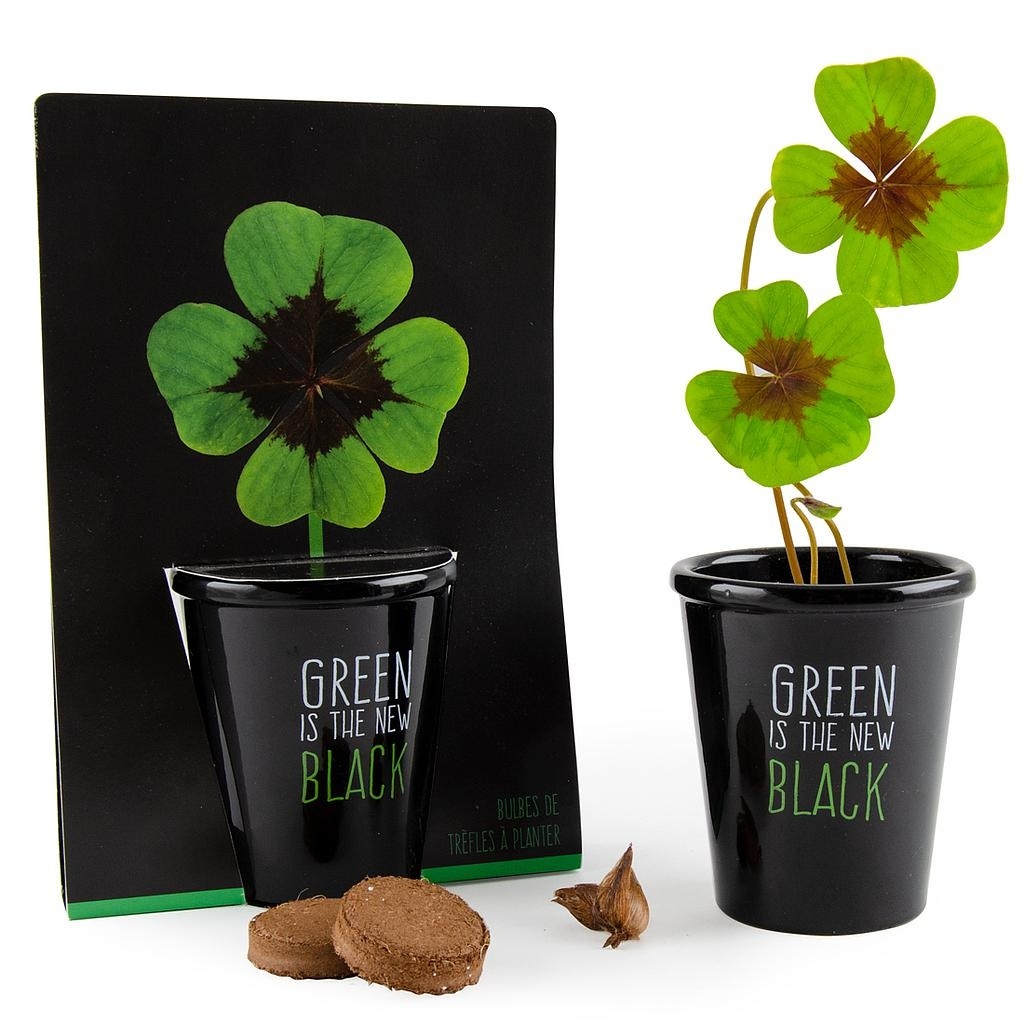 KIT BLACK AVEC GRAINES A FAIRE POUSSER