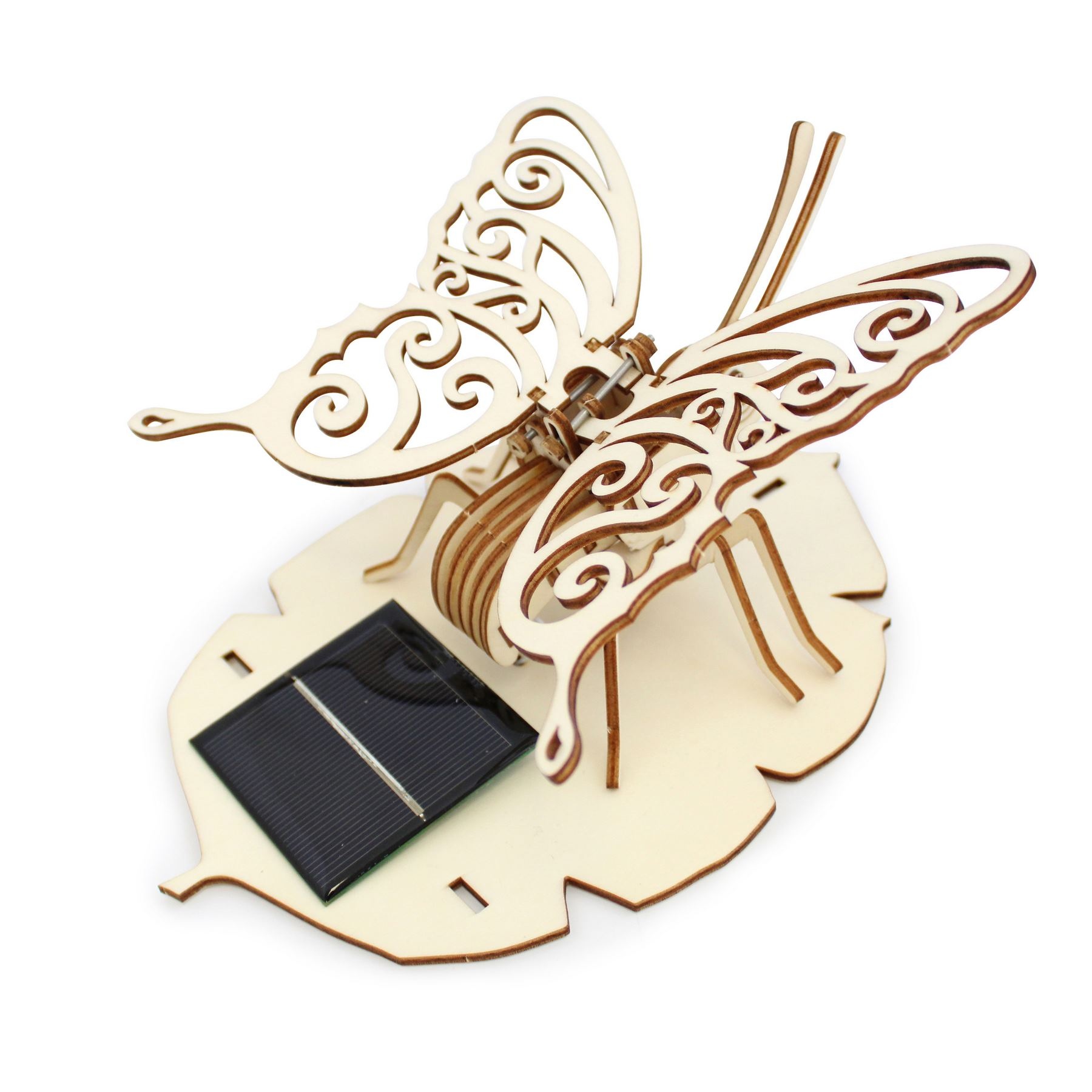 Papillon solaire