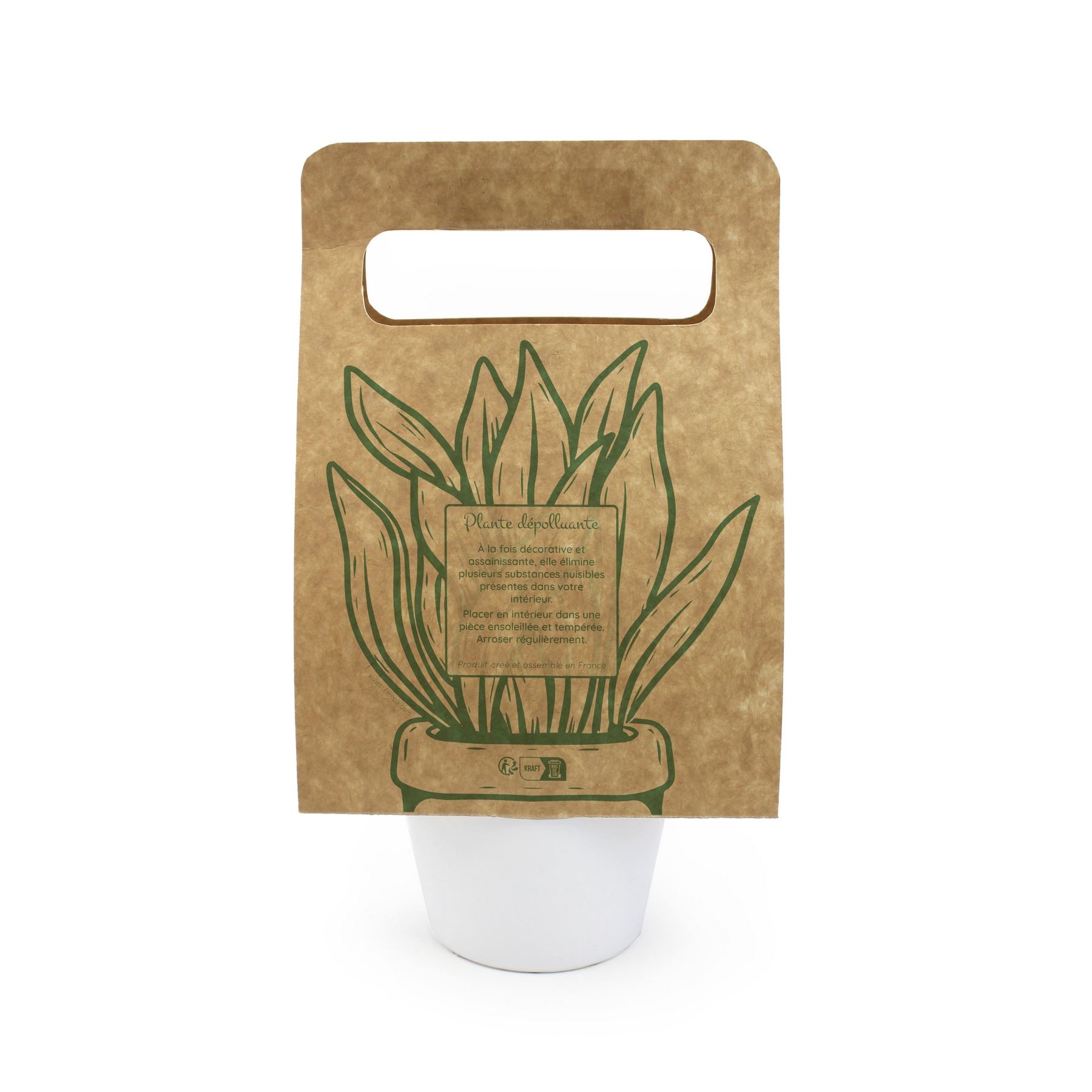 Plante portative