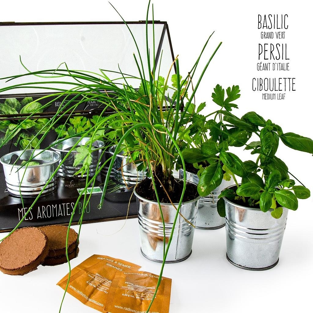 CHASSIS ZINC 3 POTS AROMATES BIO