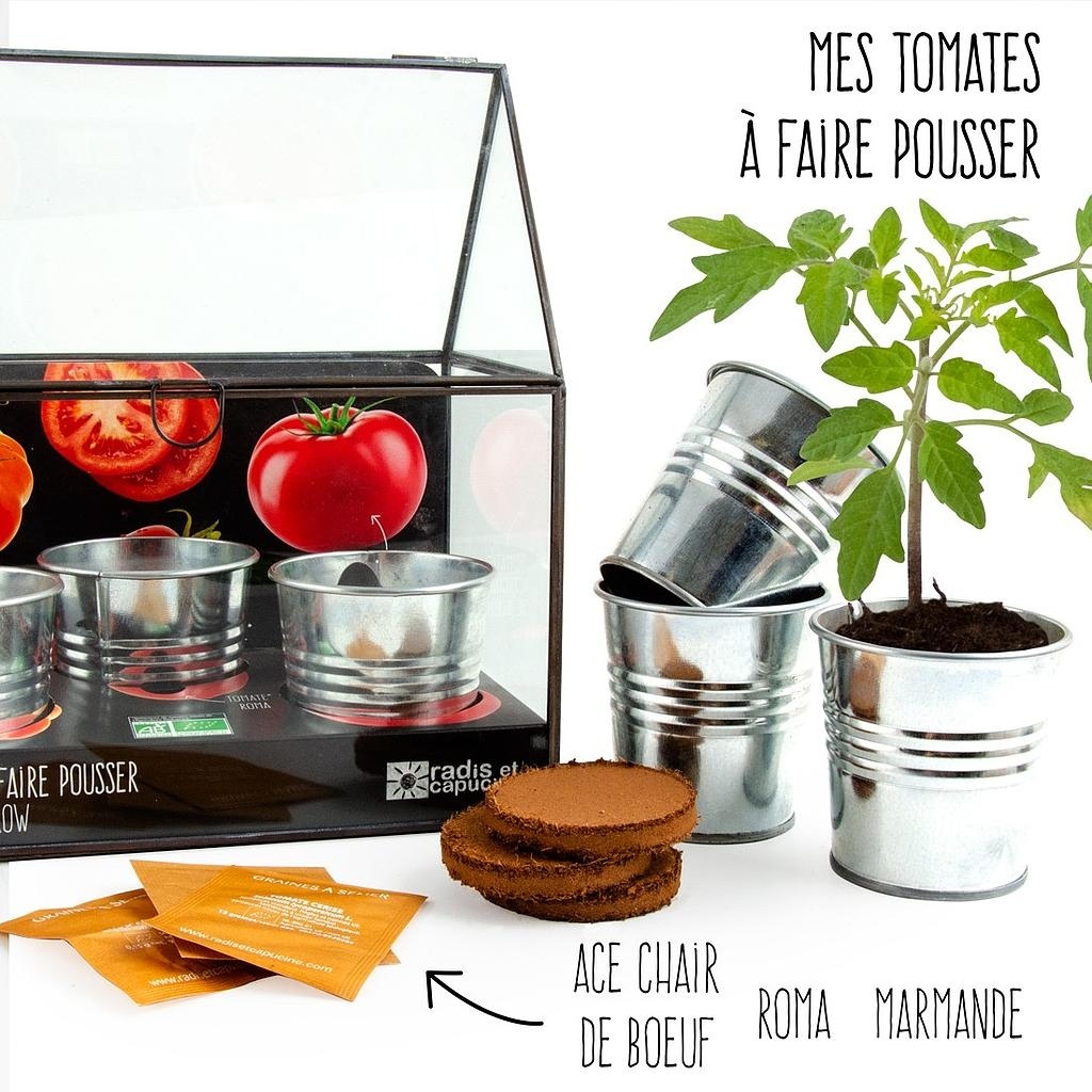 CHASSIS ZINC 3 POTS TOMATES BIO