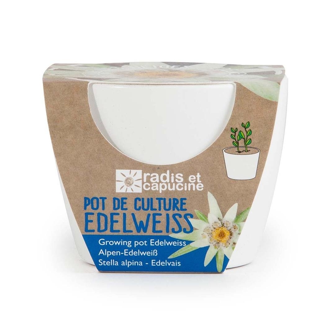 KIT DE PLANTATION EDELWEISS CÉRAMIQUE BLANC 80MM