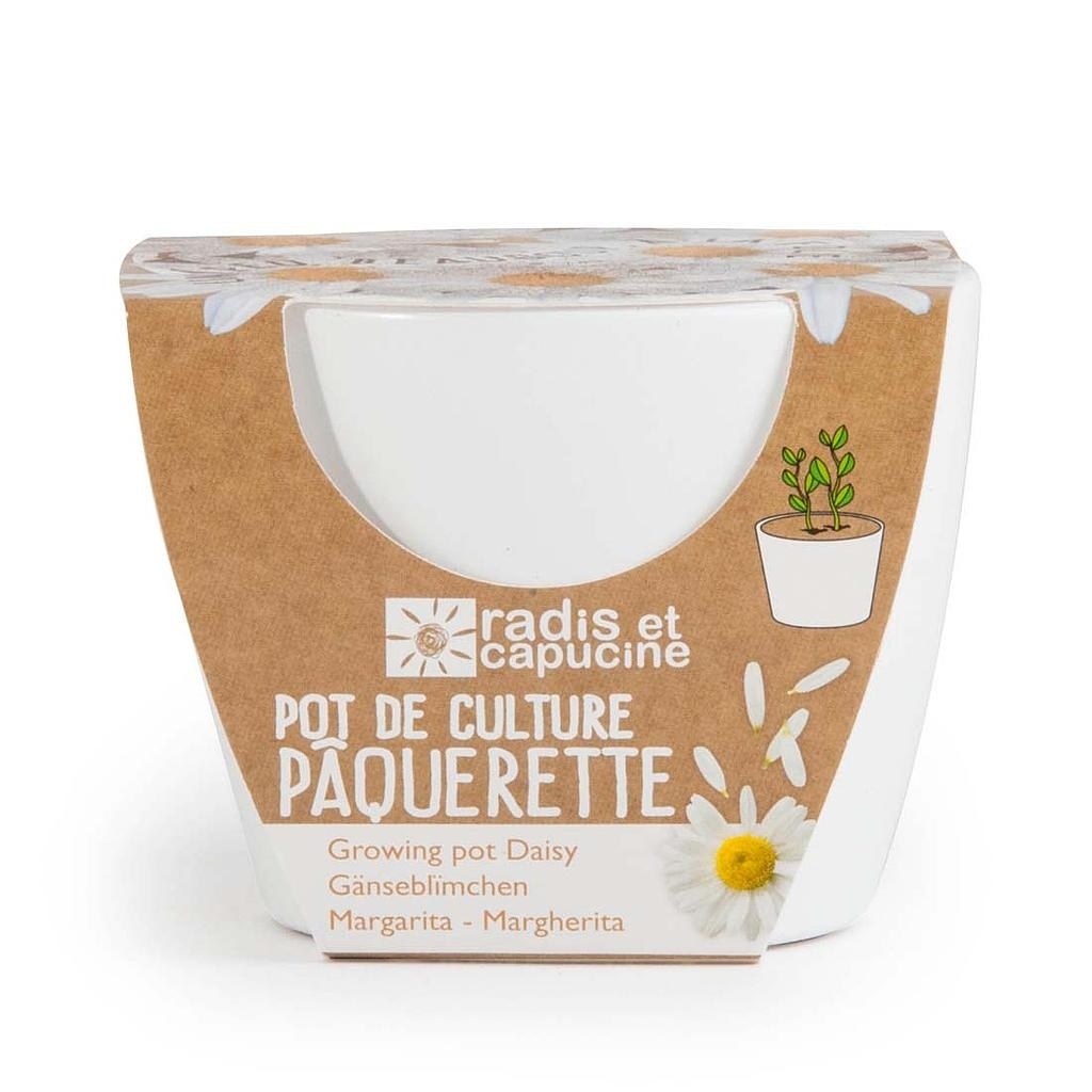 KIT DE PLANTATION PAQUERETTE BLANCHE CÉRAMIQUE BLANC 80MM