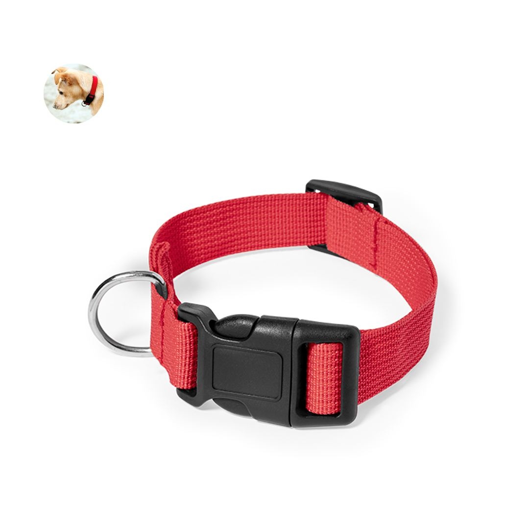 Collier - Mastif