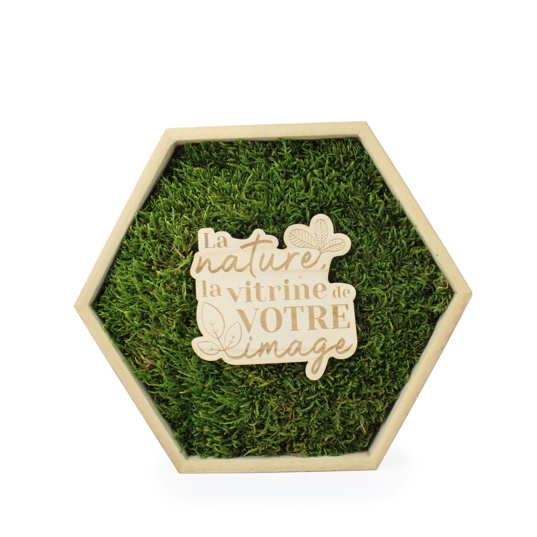 Cadre mousse hexagonal