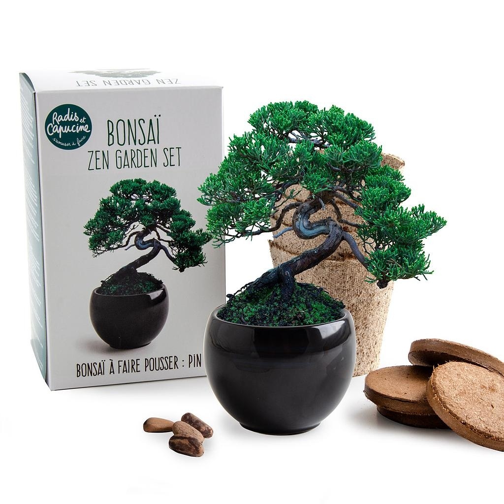 Bonsaï zen garden set