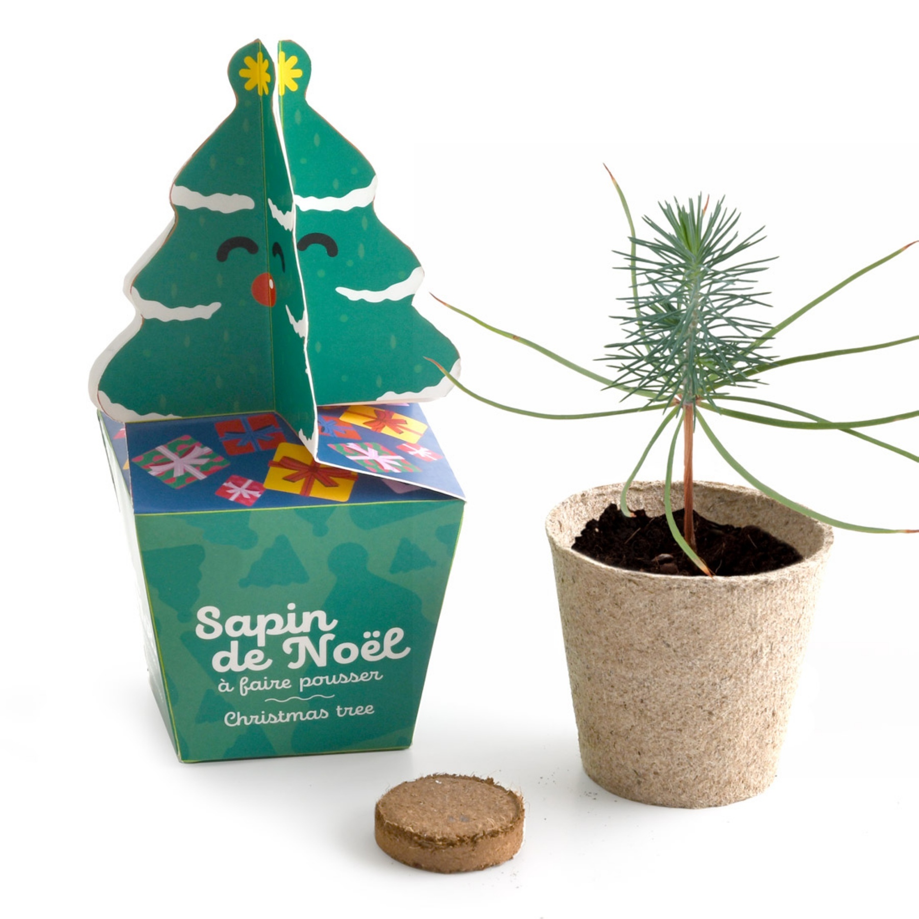 Kit sapin à décorer