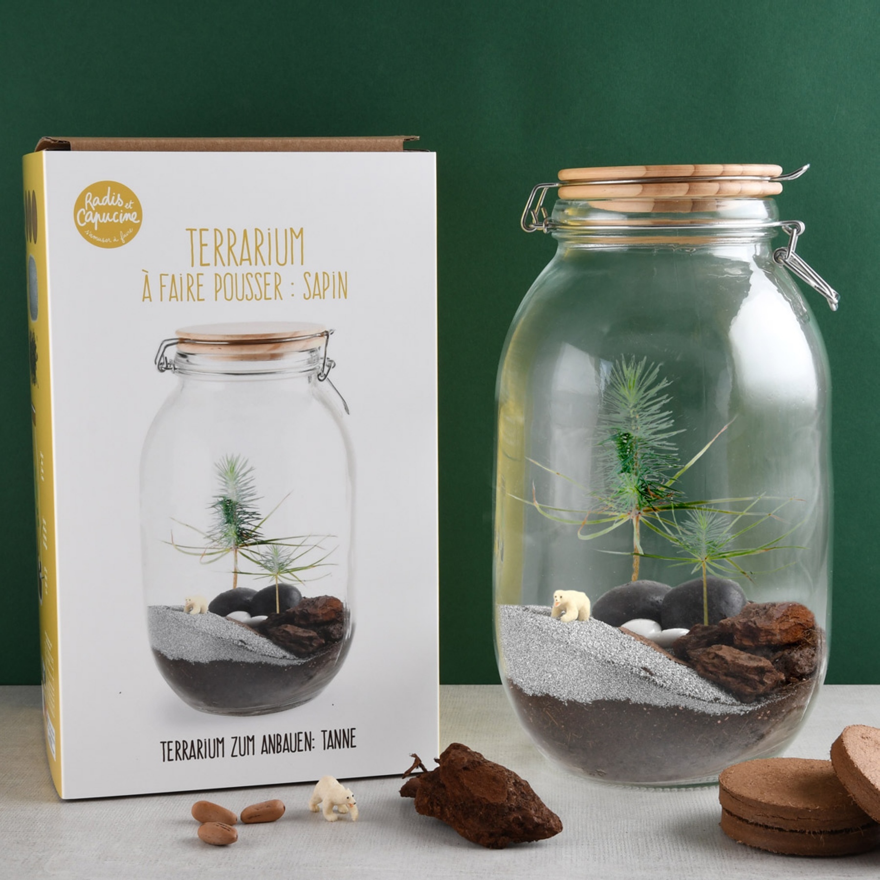 Terrarium DIY Sapin de Noël