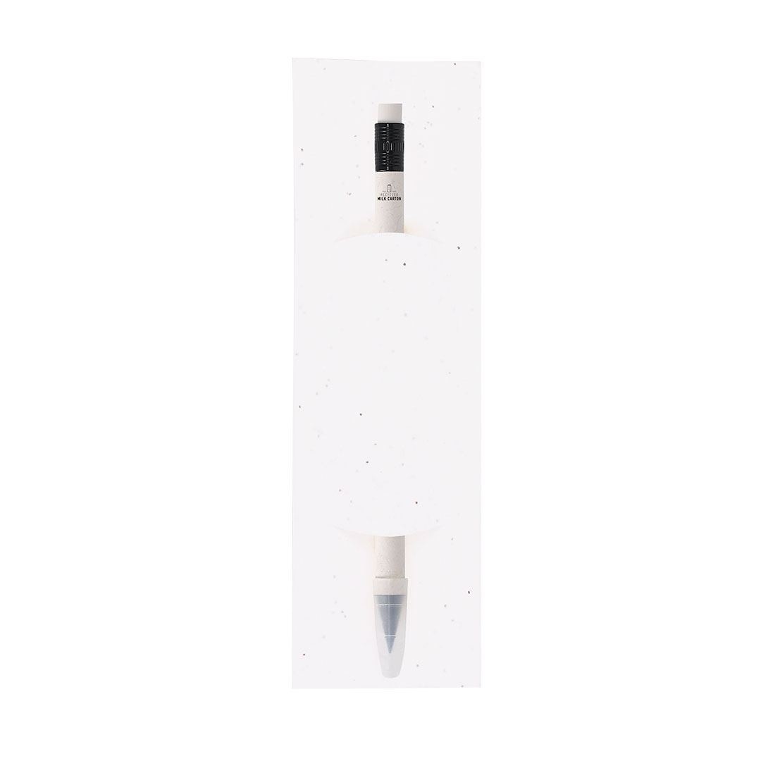 Crayon Éternel - Stauton