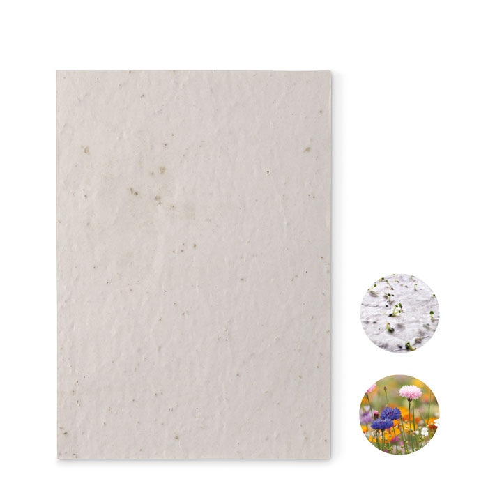 ASIDE - Papier A5 graines de fleurs