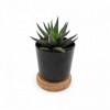 Plante dpolluante en pot bambou + soucoupe lige