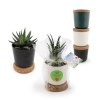 Plante dpolluante en pot bambou + soucoupe lige
