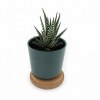 Plante dpolluante en pot bambou + soucoupe lige