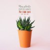 Mini plante dpolluante