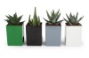 Mini plante dpolluante avec pot pour ordinateur
