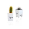Mini plante dpolluante avec pot pour ordinateur