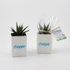 Mini plante dpolluante avec pot pour ordinateur